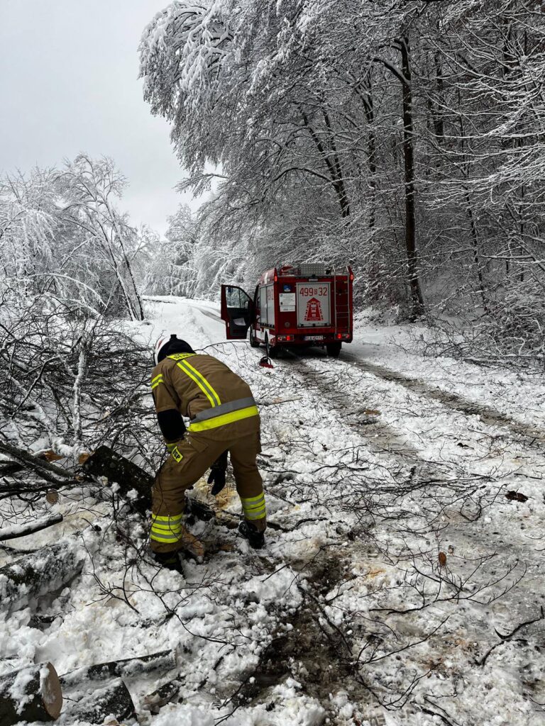 588729483 1285291973640631 3985846044539523297 n