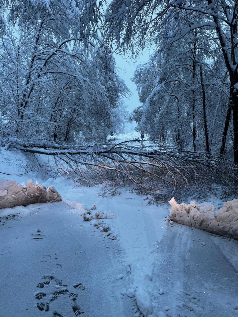 589368083 1285291896973972 1709572691898504012 n