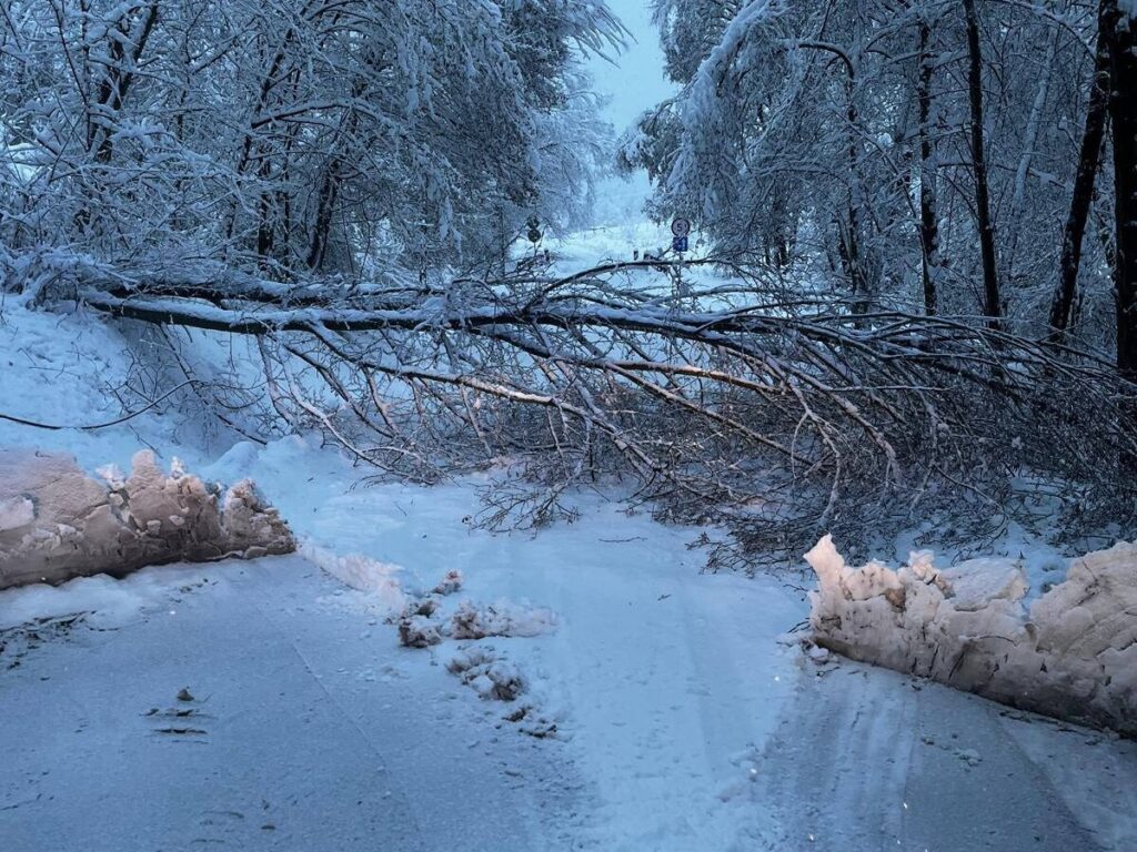 589368083 1285291896973972 1709572691898504012 n