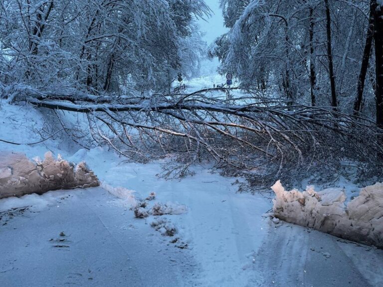 589368083 1285291896973972 1709572691898504012 n