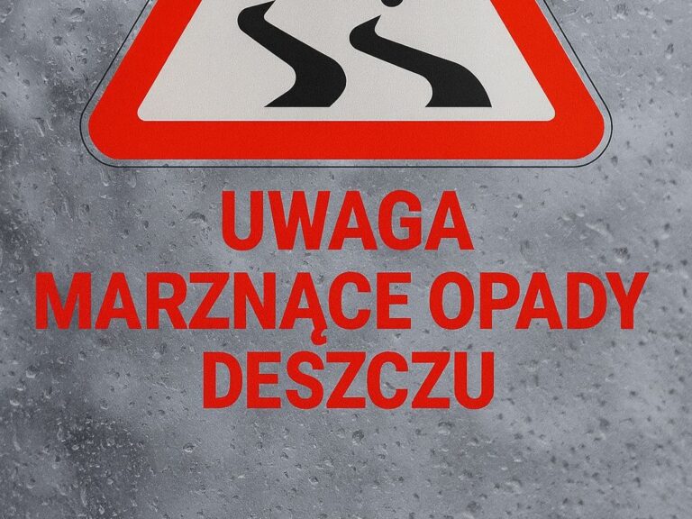 589778175 1554087562829278 6443392488674227090 n