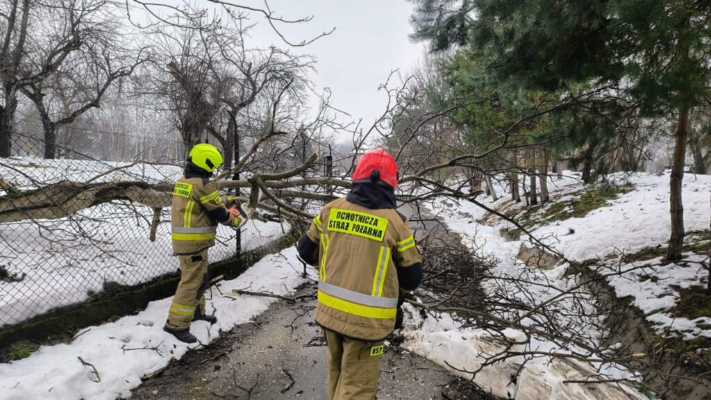 589808656 1164675412446030 7402355174421213364 n