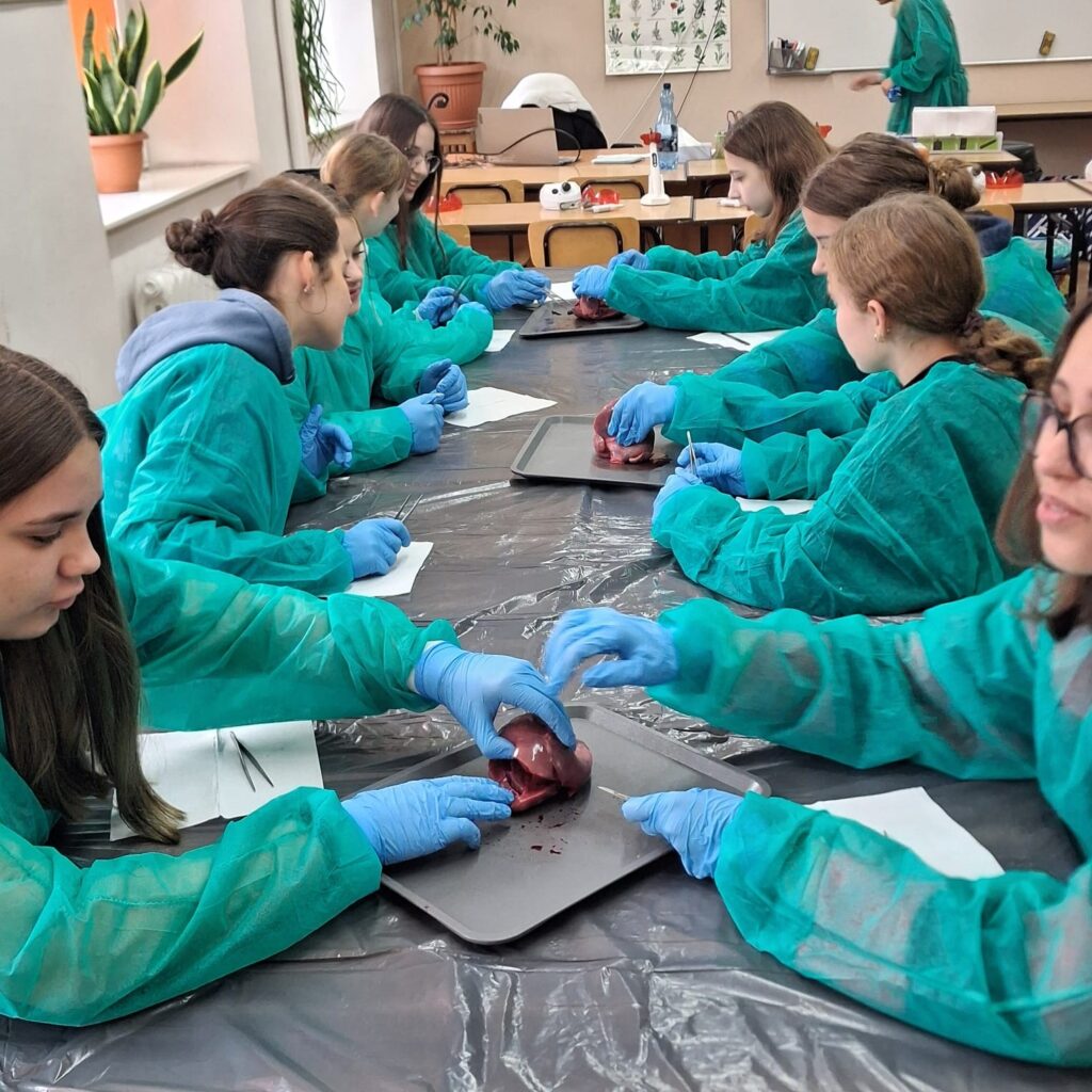 590158750 1420281746768068 3101802655354479411 n