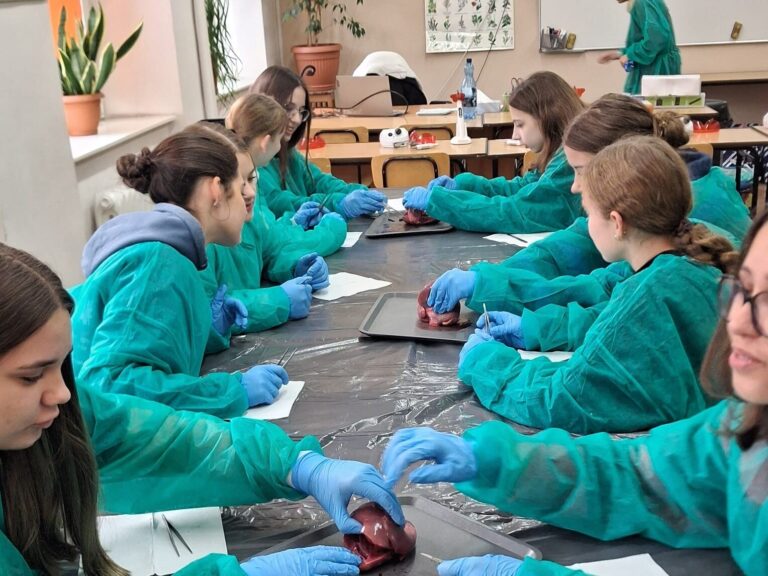 590158750 1420281746768068 3101802655354479411 n