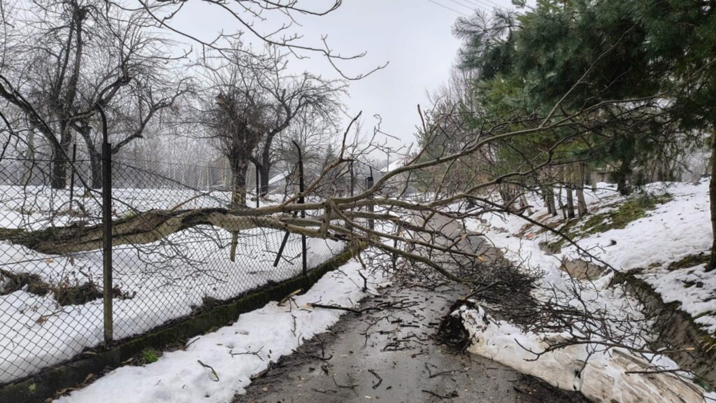 590846877 1164675385779366 1438620745784141733 n