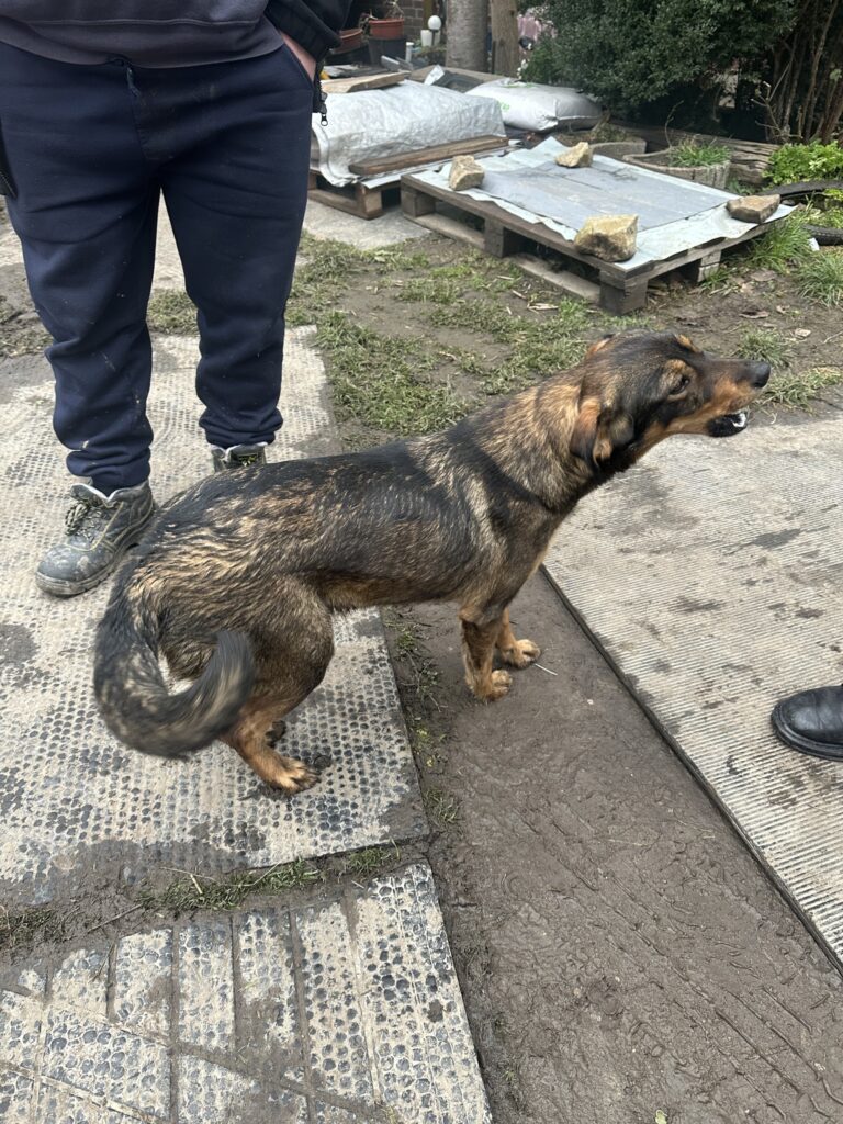 591064232 1236349095207924 1830961196080876868 n