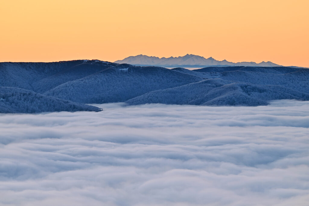 592404558 1279514130880810 7109689087446243098 n