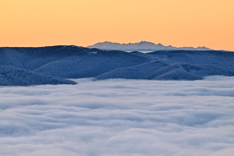 592404558 1279514130880810 7109689087446243098 n