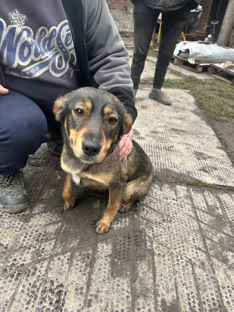 592422170 1236349098541257 2703351641407575289 n