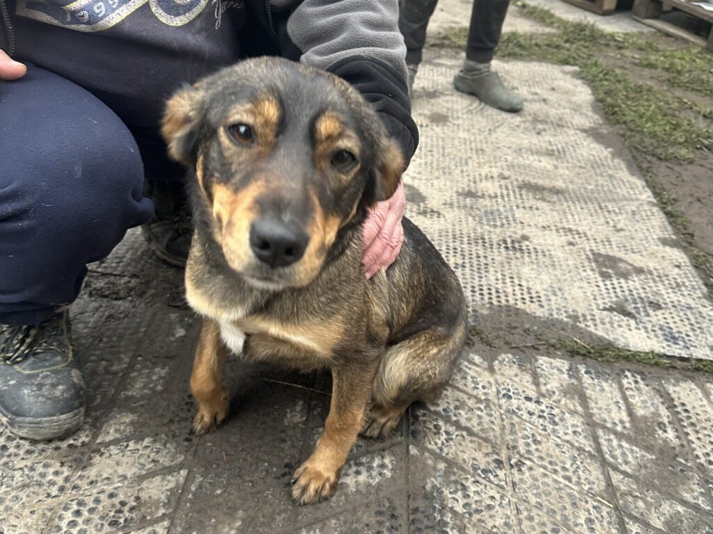 592422170 1236349098541257 2703351641407575289 n