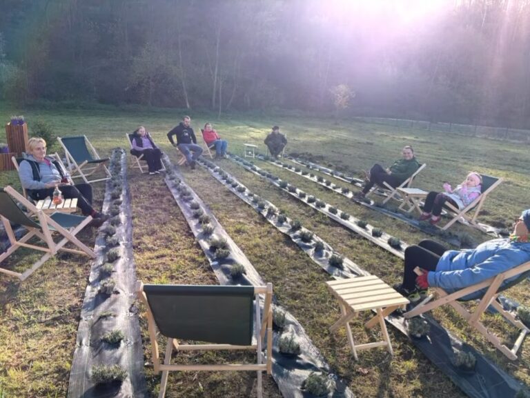 widaczow lawendaowe pole