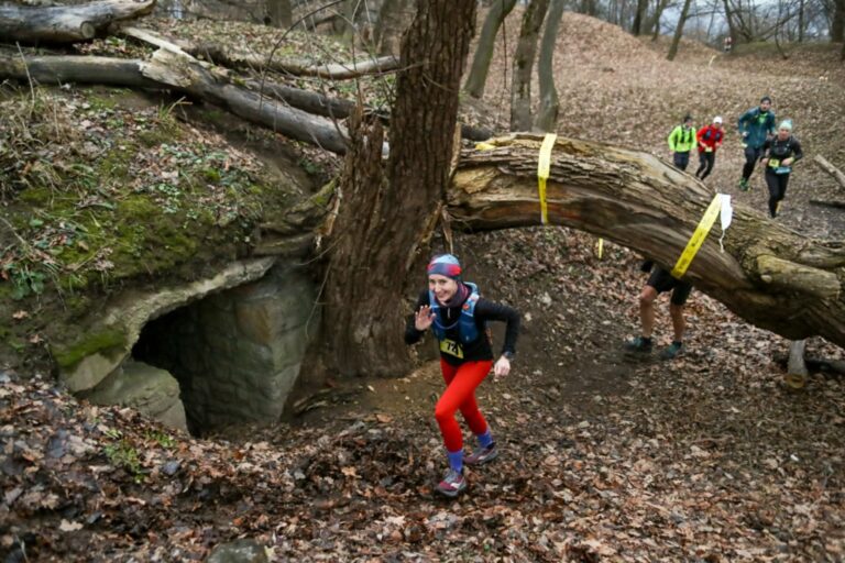 2a6dca58 5d83 4a23 b8c1 278e53ac831d