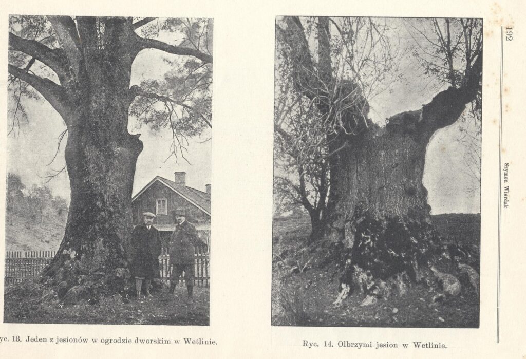 587359330 1281642807325931 1278840659133507916 n