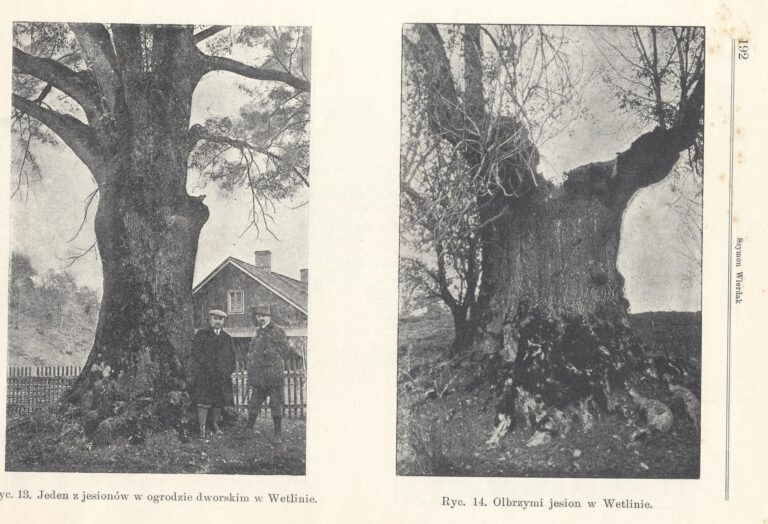 587359330 1281642807325931 1278840659133507916 n