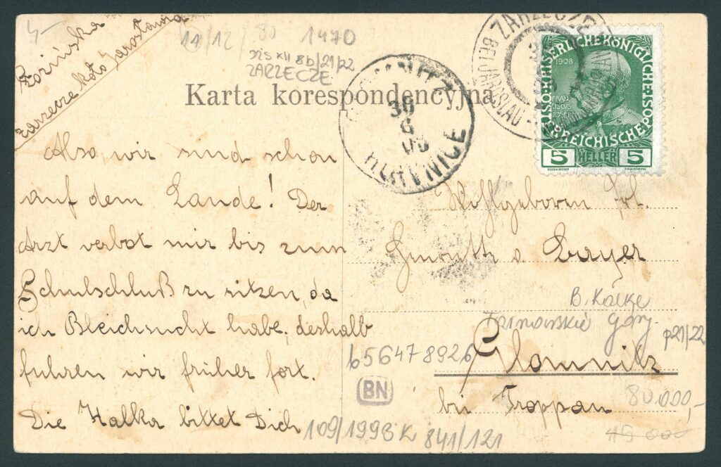 590423782 1387801136383126 8139156621527823287 n