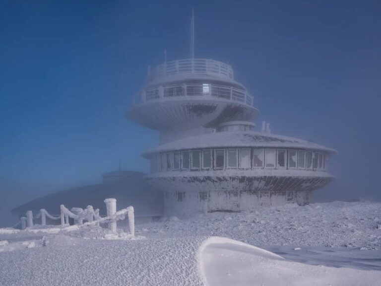 592124244 1391924566312577 6305446083775582955 n1