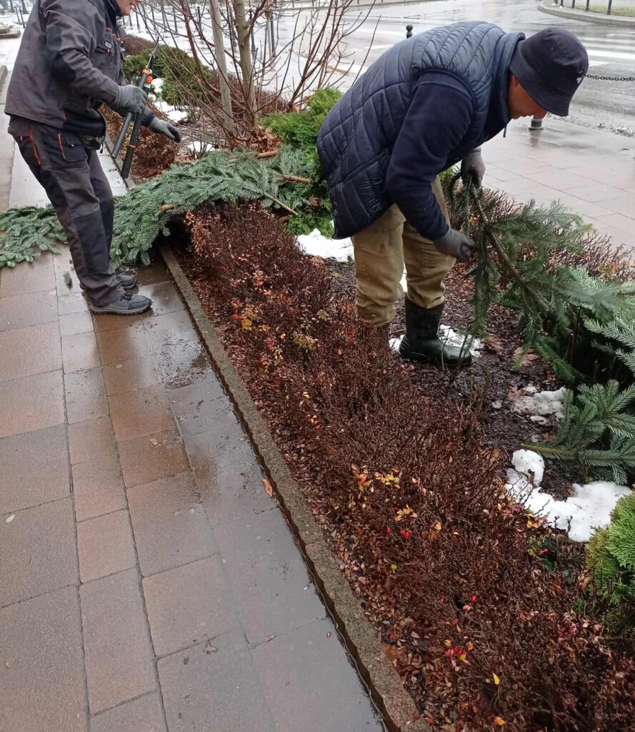 592734110 122150815124943867 8962676666478328894 n