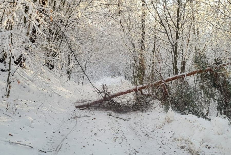 593455245 1281530687337143 6245401994104061682 n