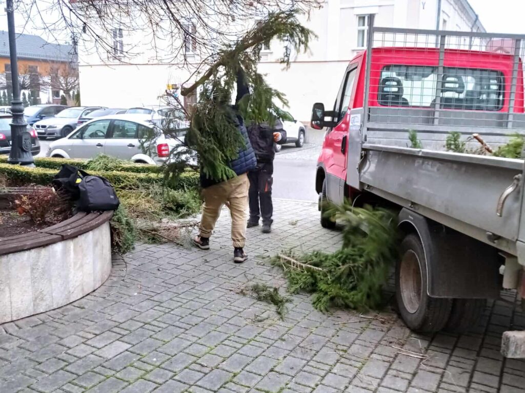 593465343 122150814344943867 5445338363327796215 n