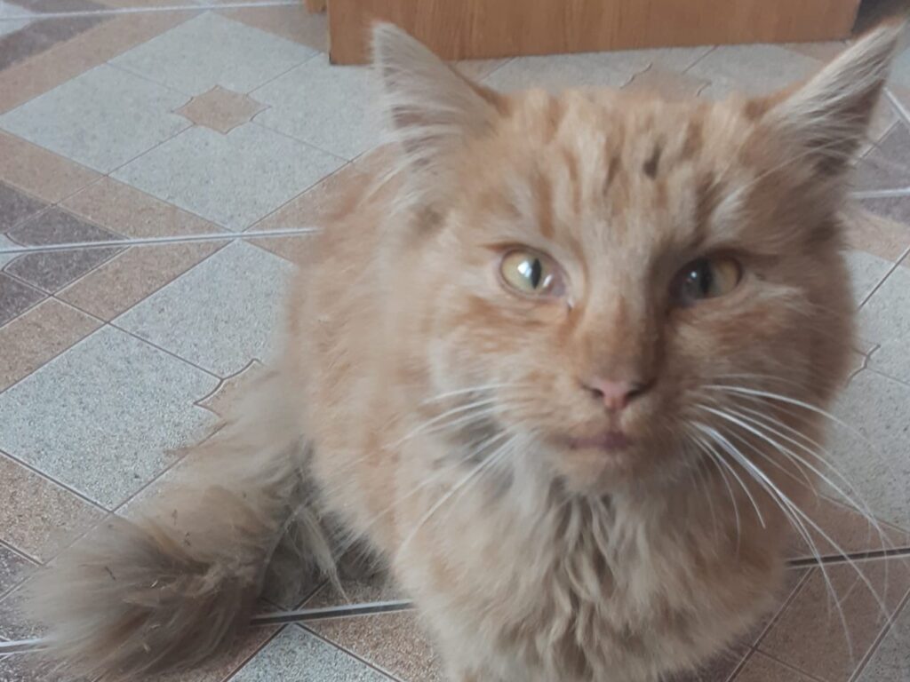 594570978 1241379888038178 5979266445297732061 1n