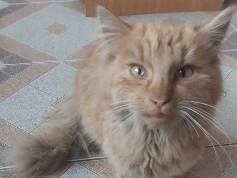 594570978 1241379888038178 5979266445297732061 1n