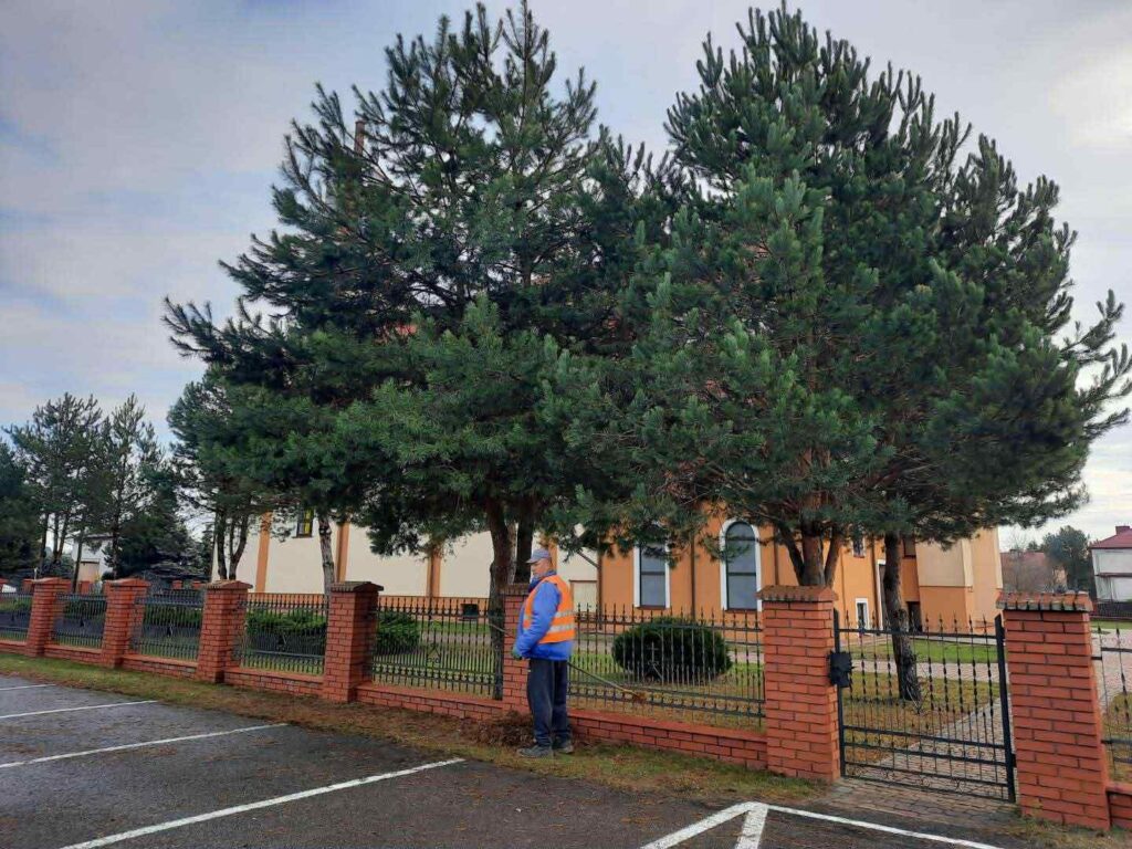 596587577 122274660578219523 8555246762028172340 n