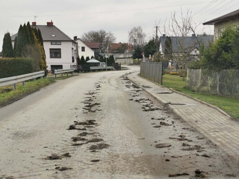 597021979 1246549644187869 2806546080151726657 n1