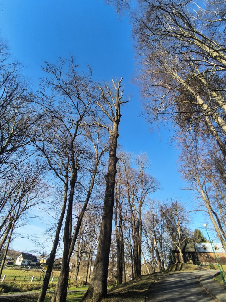 597410673 122197089890310265 2324589183425905545 n