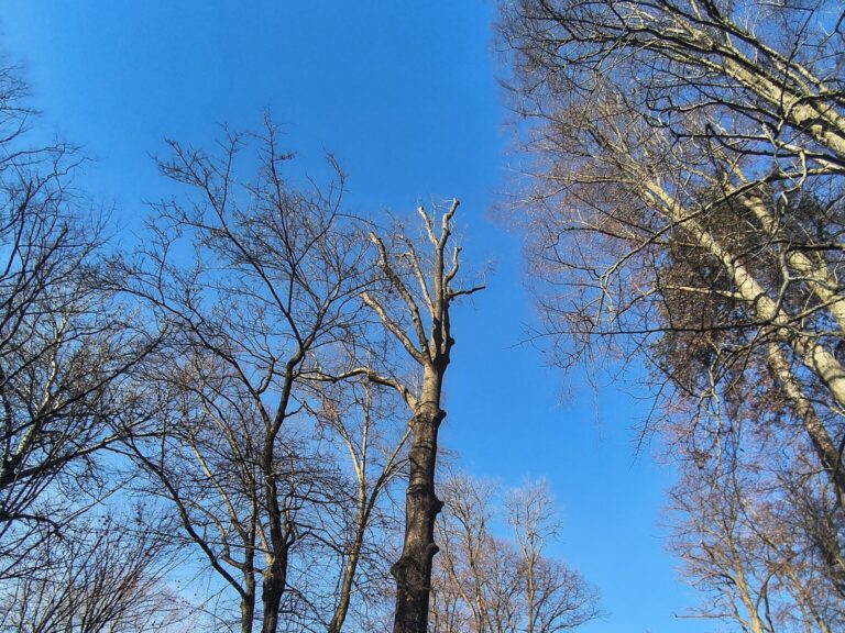 597410673 122197089890310265 2324589183425905545 n