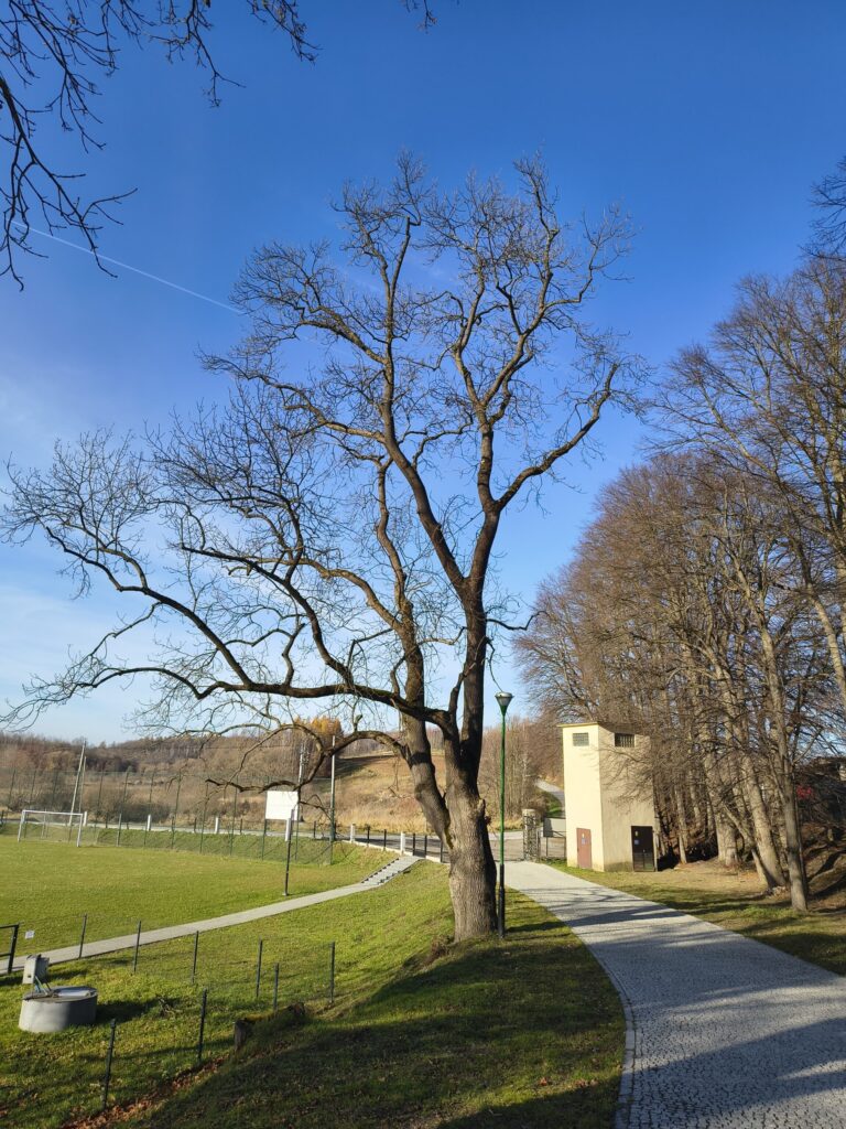 597569353 122197089986310265 3843959691119978220 n