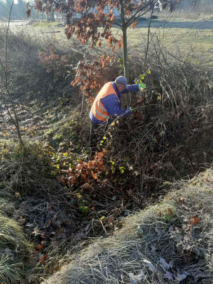 599940979 122276149178219523 2853154636762673631 n