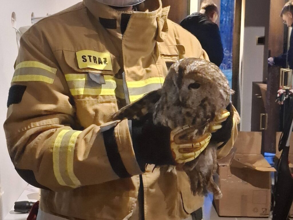 599945905 1268680511972438 4888430498818361406 n