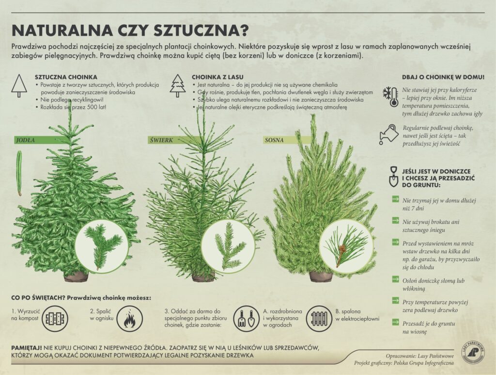 600576014 1290585343098344 4356840286240956368 n