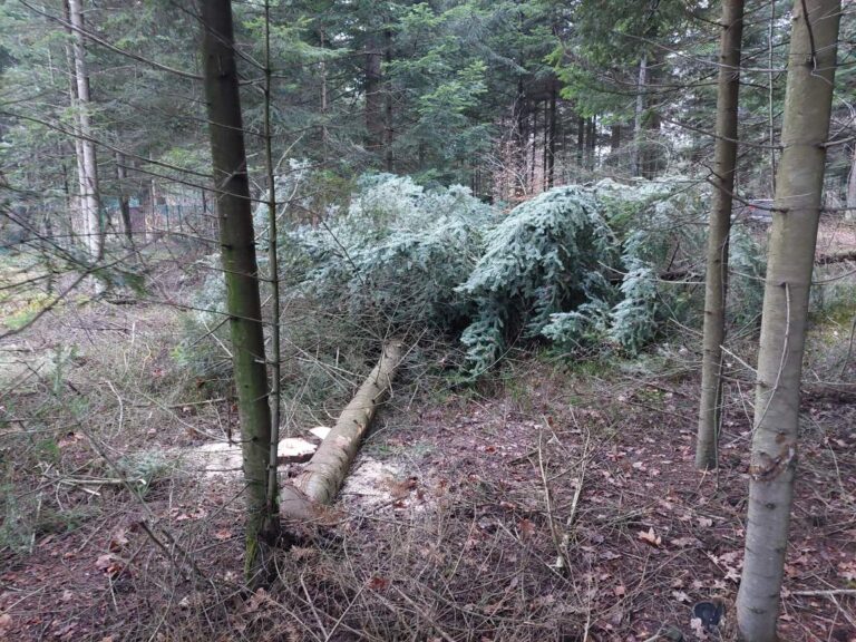 603879118 1295977869225758 3291638257236618965 n