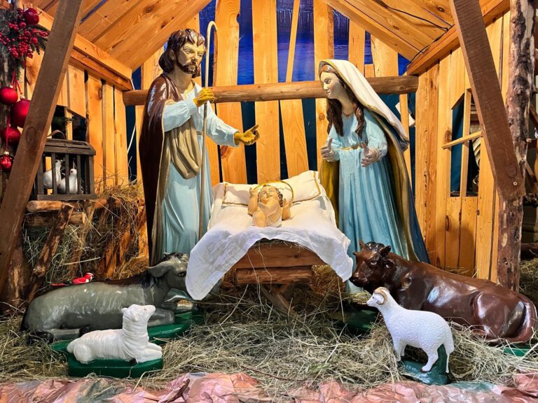 604964806 1260490369445447 5250149698426568932 n