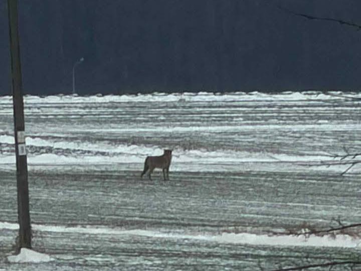 608847318 1326371699532670 3958823208217146048 n1