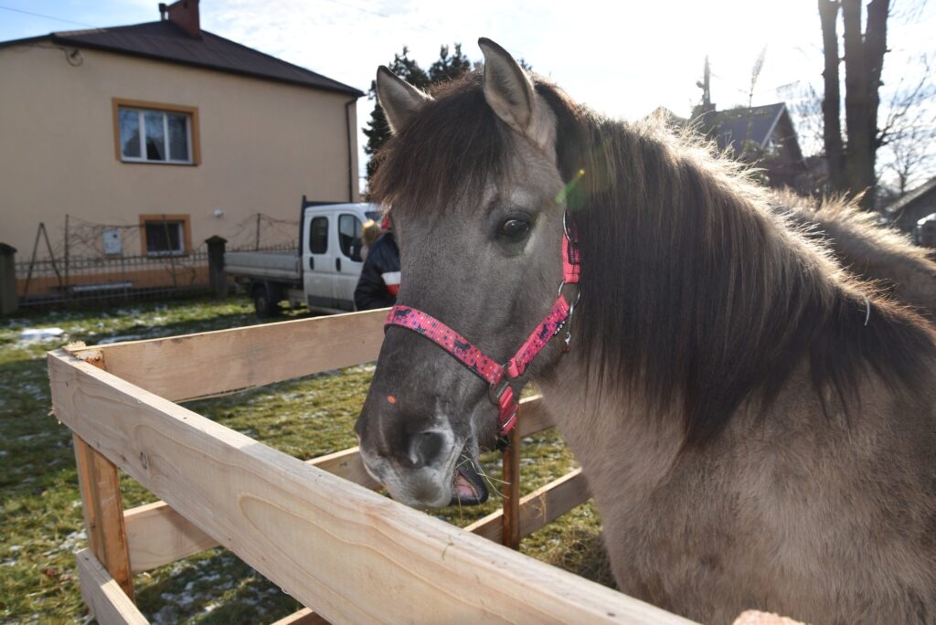 611003119 1175392161439619 4575469018801630967 n