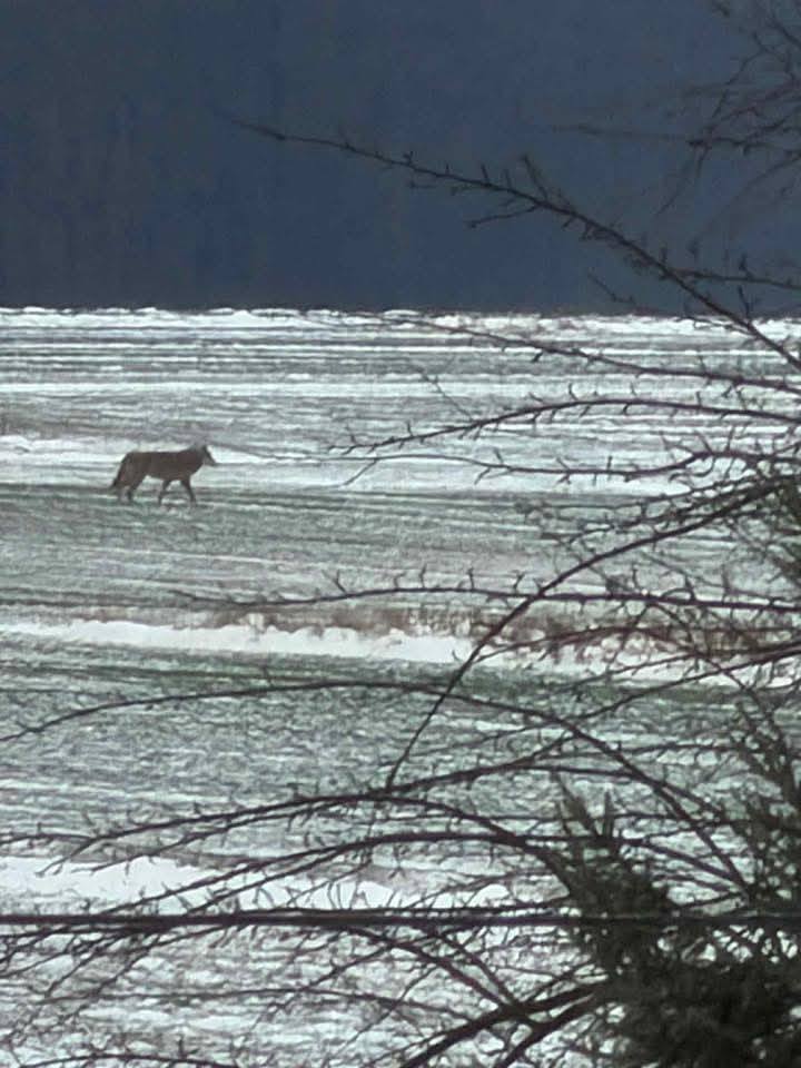 611151846 1326371739532666 6069943850500849262 n