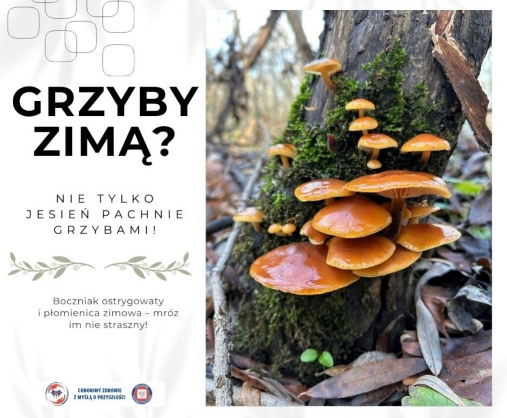 611187339 17869948452514860 5467280647715026361 n