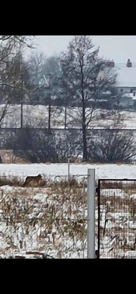 611717992 1326367949533045 6684107398019034374 n