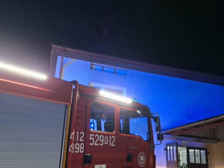 611799355 1304422501727232 8609866773669786532 n1