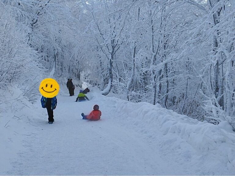 612324566 1309041974594692 6911704045551945373 1n