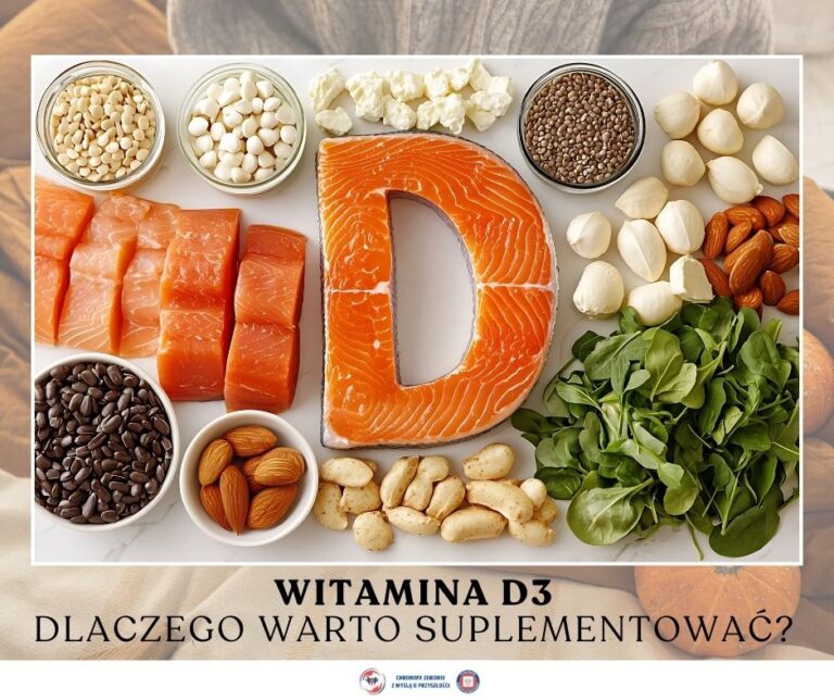 612544893 1278125577681127 7043026970438467544 n