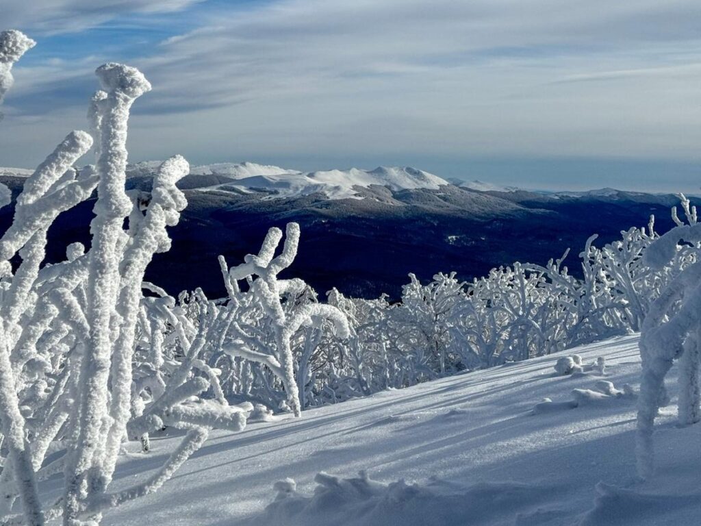 613112261 1310675441098012 44119450358784458159 n