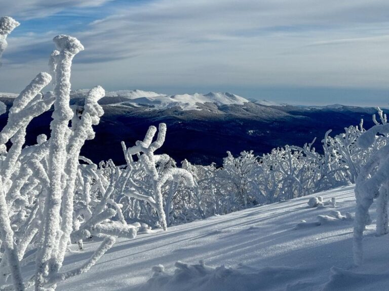 613112261 1310675441098012 44119450358784458159 n