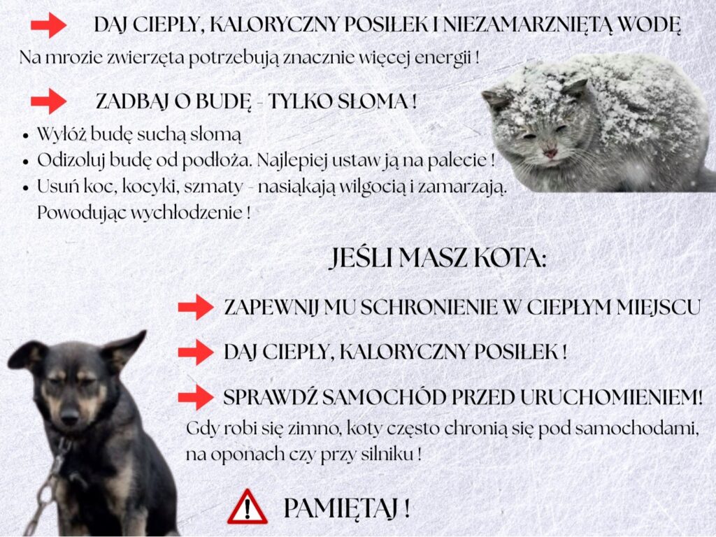 613152750 1266013652241468 8609891978344608206 n1