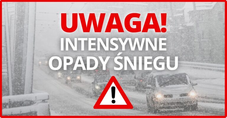 613545246 1191415479846889 1117278652195280273 n