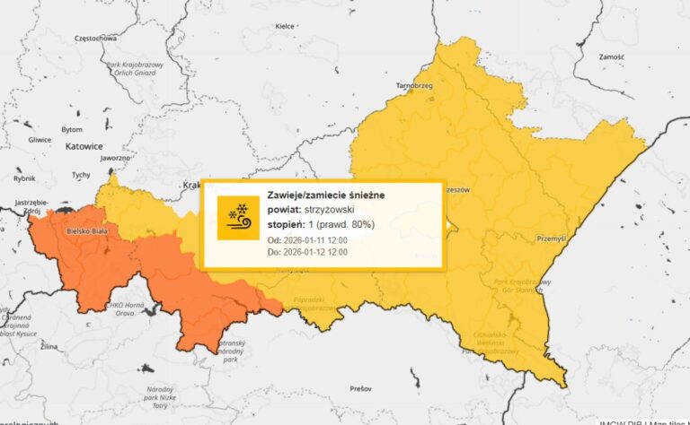 614972261 1428920989279601 8986889497603136737 n