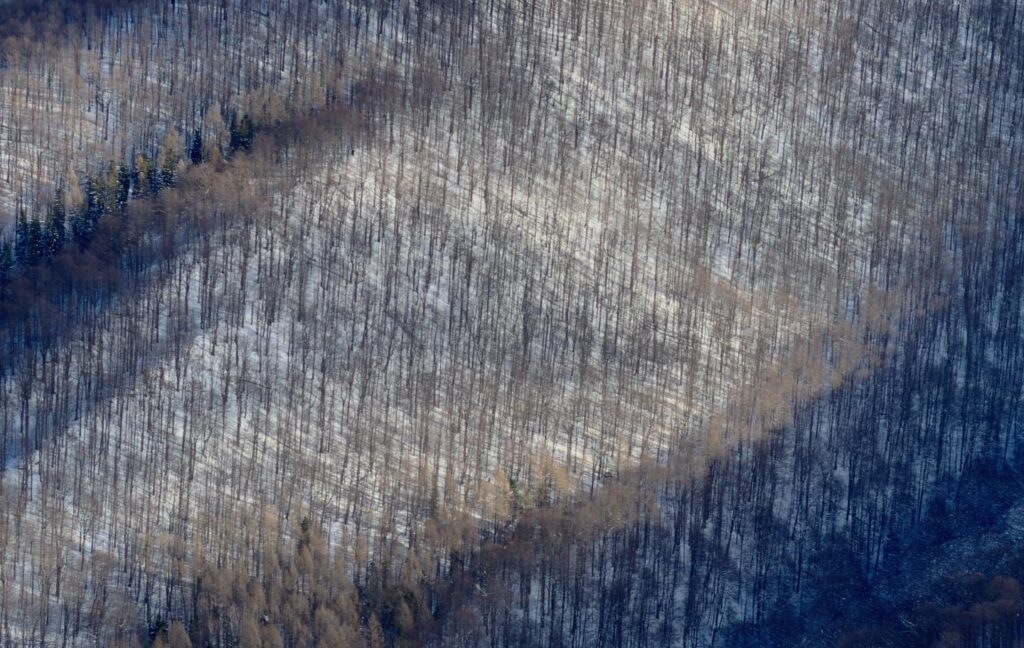 615346899 1316380497194173 1465814708014670259 n