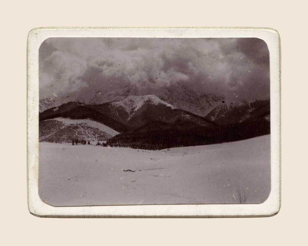 615515466 1420709213092318 4916038385377348607 n